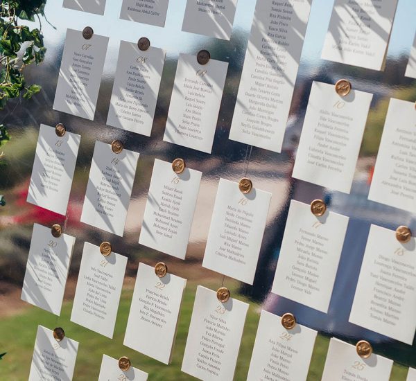 Festa-aluga-eventos-servicos-design-2